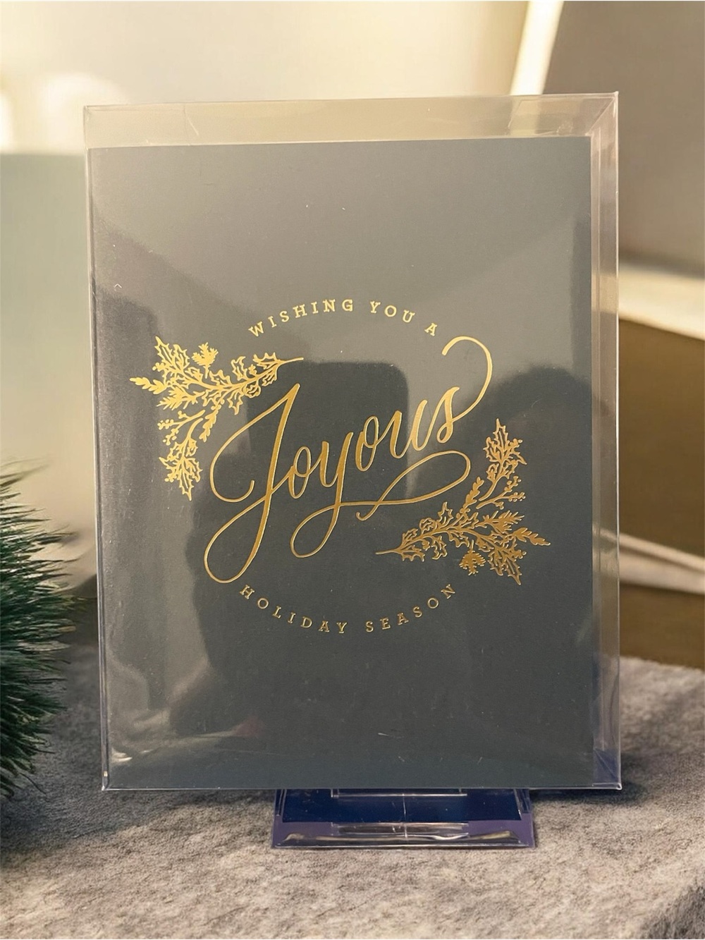Joyous Holiday Card Set